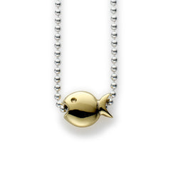 Collier Gill