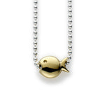Collier Gill