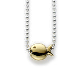 Collier Gill
