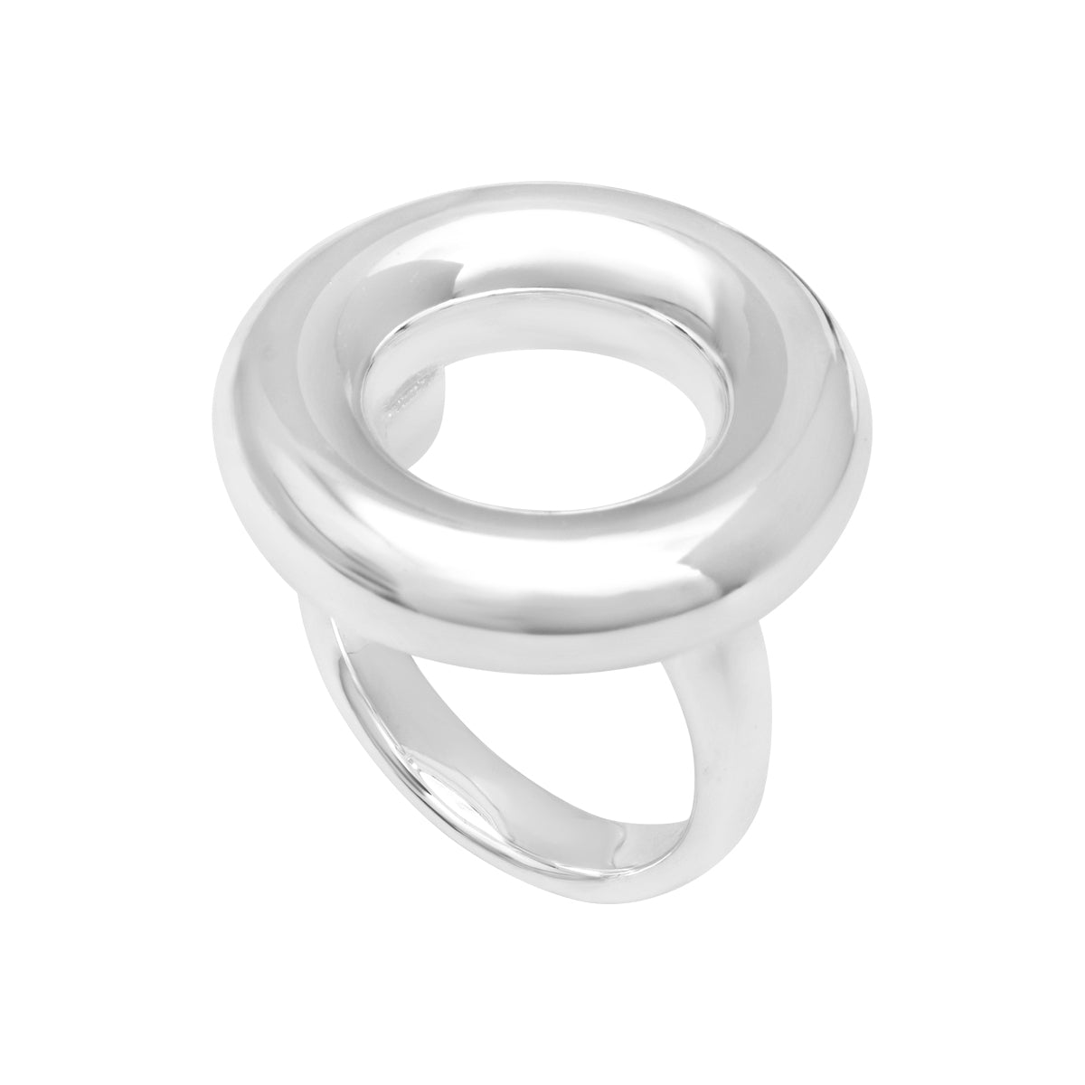 Bague Guenièvre en acier argenté – vue d'ensemble